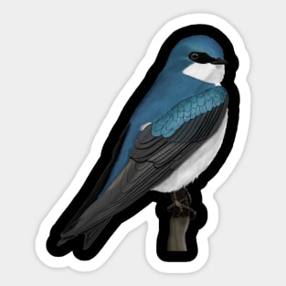 Tree Swallow Backyard Birds Bird Art Sticker